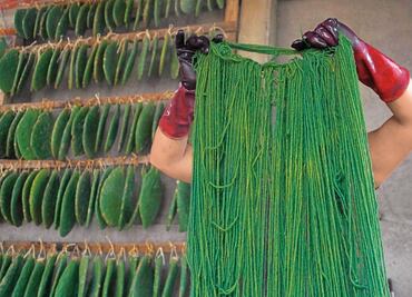 “No quería ser un artesano más”: Porfirio Gutiérrez