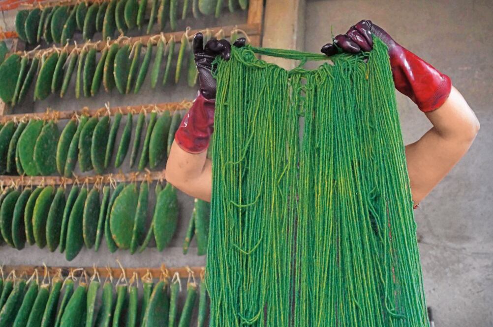 En el taller de la familia Gutiérrez hay saberes específicos y tradicionales; Juana, a los 47 años, es la mayor conocedora de los tintes y del proceso de combinación para dar con el color más intenso (FOTOS: EDWIN HERNÁNDEZ. EL UNIVERSAL)