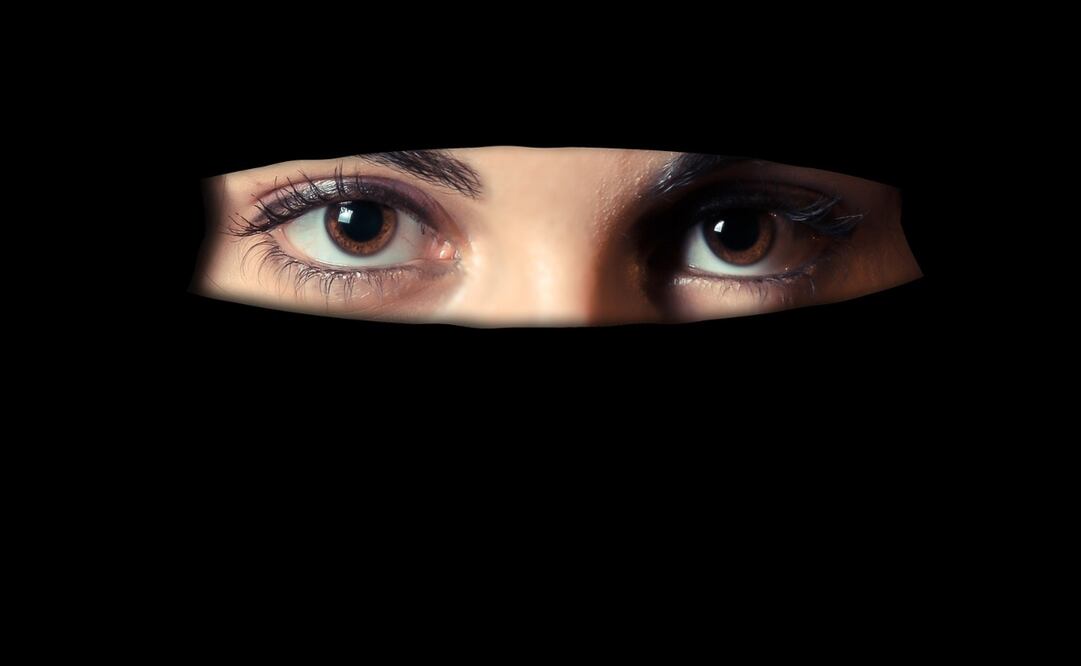 Estuvo disponible al menos durante 20 días. Imagen Pixabay