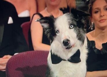 Messi, el perrito del Oscar 2024 que opacó a los nominados