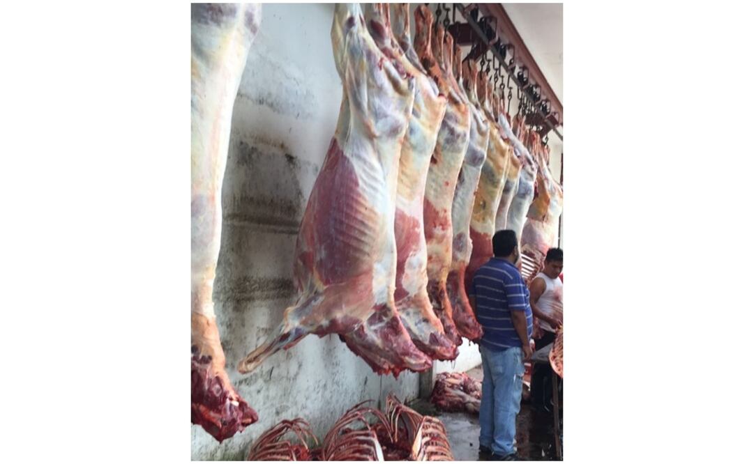 Foto: Cortesía Tabasco HOY