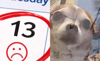 Ni la "mala suerte" se salva: martes 13 deja la mejor ola de memes