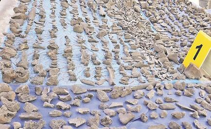 Hallan huesos humanos en Navolato, Sinaloa