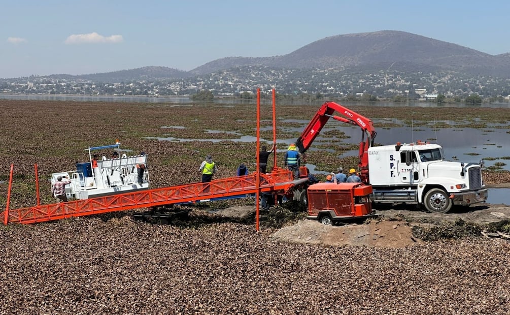 Retiran lirio acuático en Laguna de Zumpango; suspenden paseos en lancha y suman apoyo de lancheros. Foto: Especial