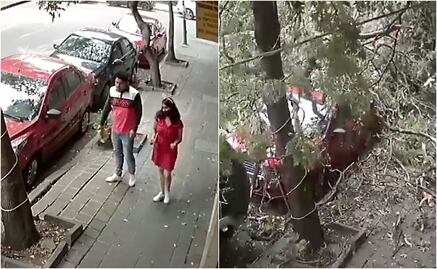 Video. Se salvan de ser aplastados por un árbol, tras ventarrones en CDMX