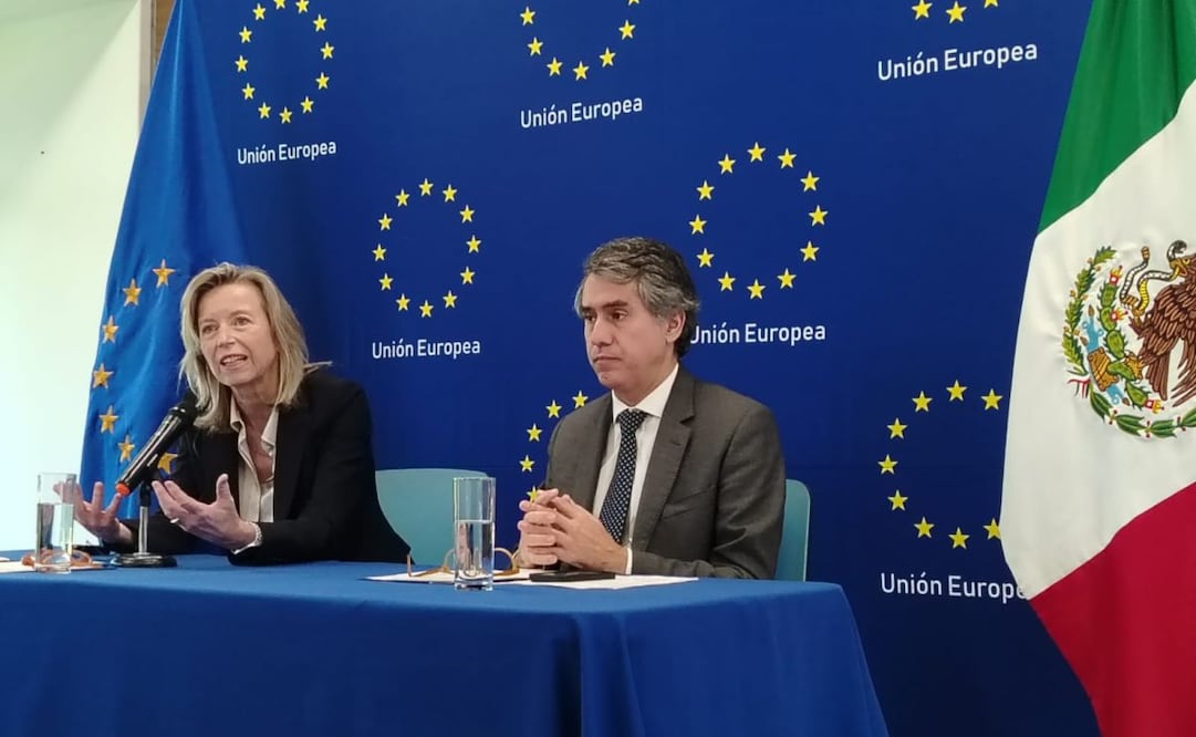 La Unión Europea anunció un financiamiento de 55 millones de pesos para cinco proyectos en México contra la violencia de género. Foto: Eduardo Dina/ EL UNIVERSAL