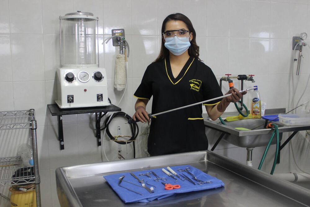 La joven que embellece muertos 