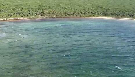 Recolectan casi 18 mil toneladas de sargazo en playas de Quintana Roo