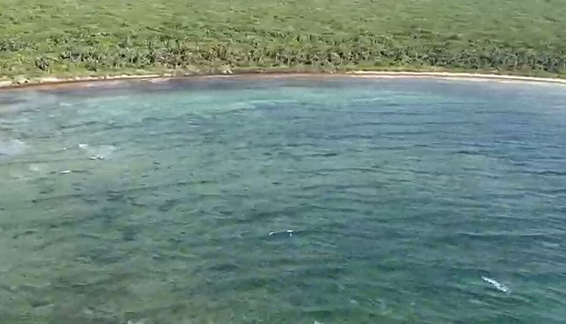 Foto: Captura de pantalla