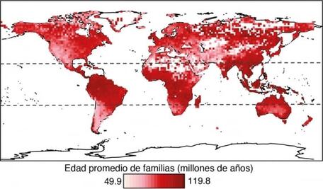 Así es como las flores revolucionaron la vida en el planeta Tierra