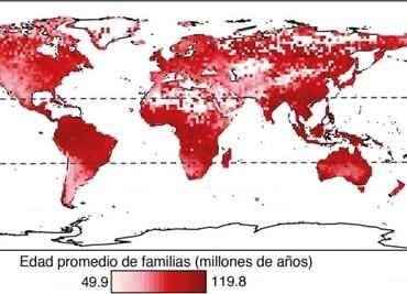 Así es como las flores revolucionaron la vida en el planeta Tierra