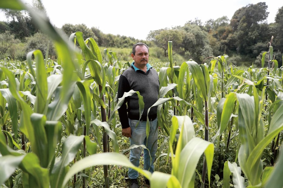 Agricultores en México. Foto: Archivo 