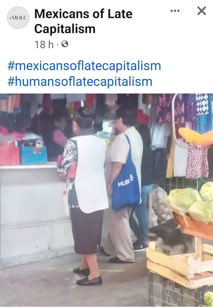 Meme MUBI Fest. Foto: Facebook