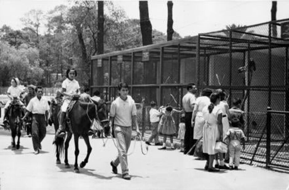 El zoológico antes de Bantú