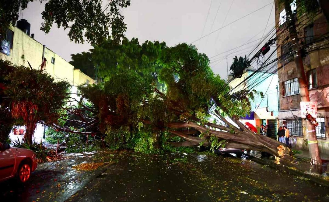 Fuertes lluvias provocan caída de árbol en alcaldía Benito Juárez. Foto: Valente Rosas l EL UNIVERSAL.