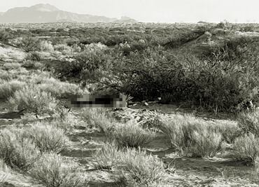 Muere mujer migrante en el desierto de Samalayuca, Chihuahua