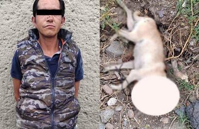 Arrestan a hombre que ahorcó a su perrito con una agujeta hasta matarlo en Ecatepec