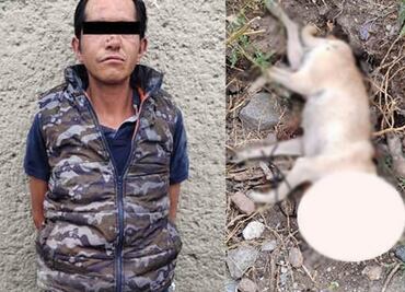 Arrestan a hombre que ahorcó a su perrito con una agujeta hasta matarlo en Ecatepec