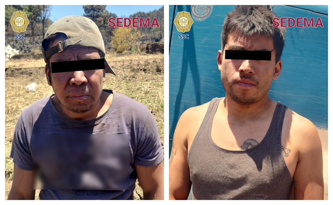 Detienen a dos hombres por extraer tierra de monte; acción fue parte del combate a la tala ilegal