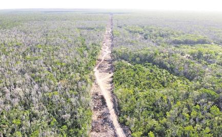 Los permisos de obra aún no se presentan