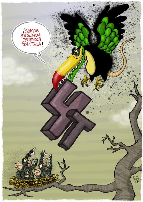 Cartón de FER