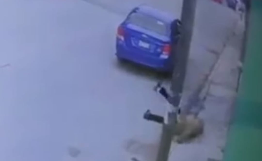 Foto: Captura tomada del video 