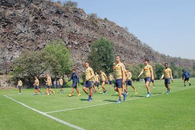”Pumas no es sólo Nico Castillo”