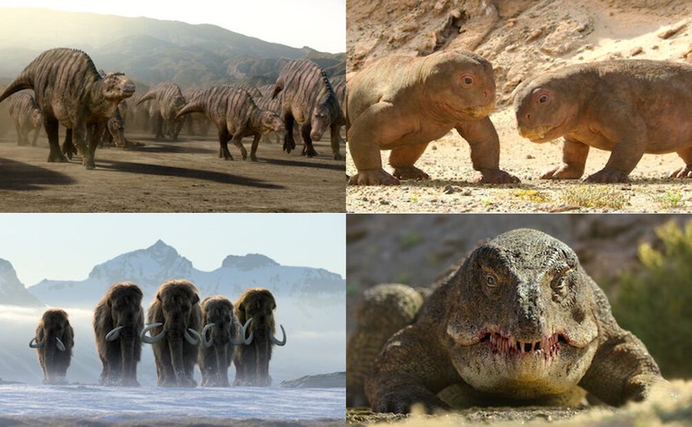 La vida en nuestro planeta. Fuente: Netflix