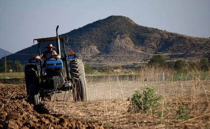 Canícula y "Niño moderado" inhibirán lluvias en agosto