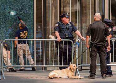 Atacante de NY tenía como objetivo oficinas de la NFL