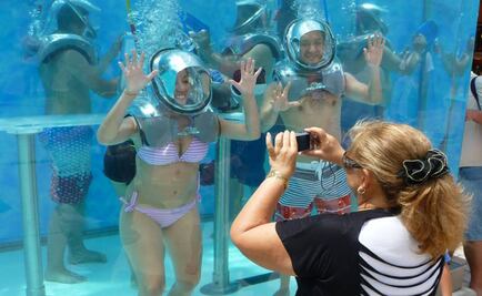 Play underwater jenga in Cozumel, Quintana Roo