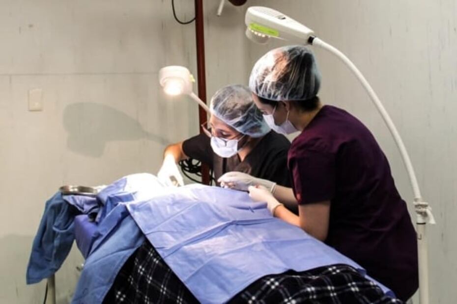 El porqué de los colores de las salas de hospitales