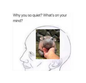 El fin del año 2024, en los memes de la semana