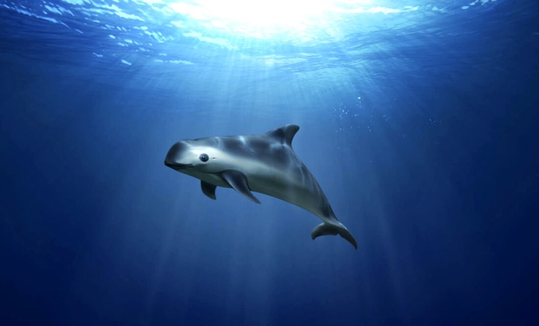 Foto: Archivo/EL UNIVERSAL