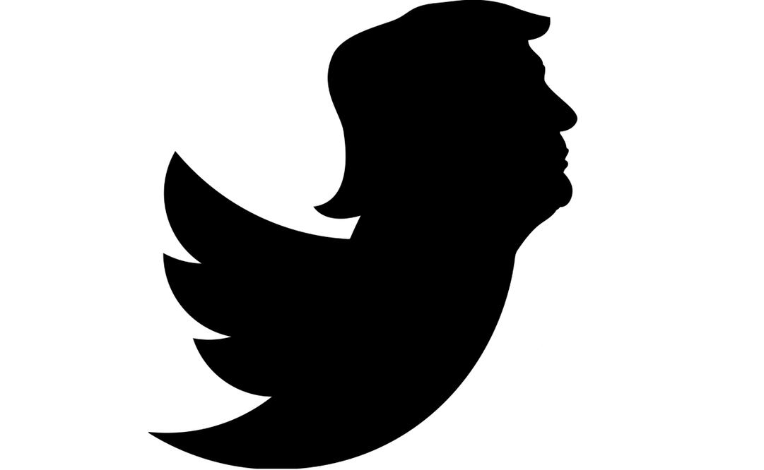 @POTUS  tiene más de 32 millones de seguidores. Imagen Pixabay