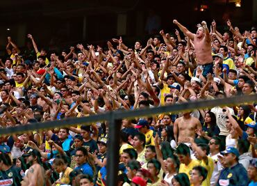 Afición, indiferente ante la Consulta Ciudadana