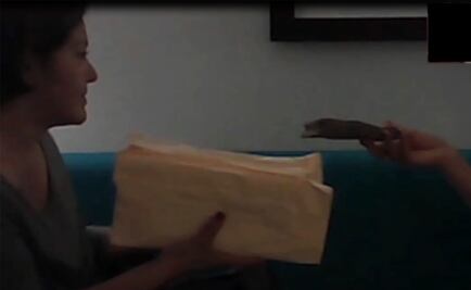 Eva Cadena "no recaudaba pa' Morena, recaudaba pa' su santo": Polevnsky 