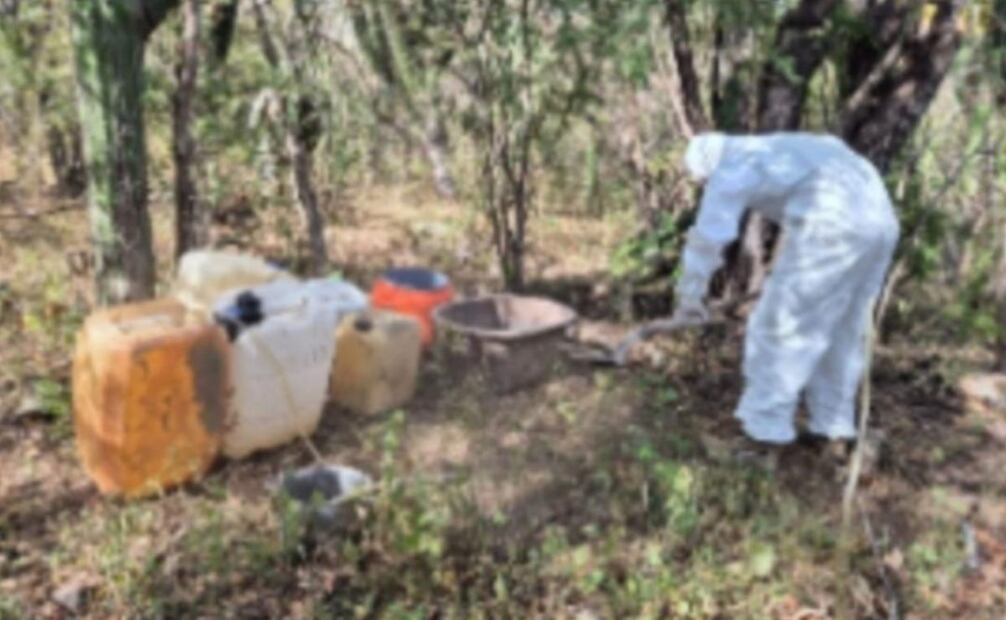 Aseguran precursores químicos para elaborar droga en Sinaloa (20/11/2025). Foto: Especial