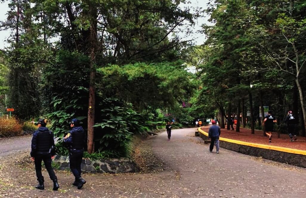 Bosque de Tlalpan. Foto: Archivo/EL UNIVERSAL