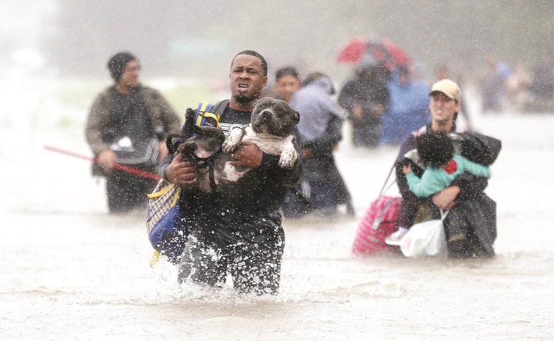 Un hombre carga a su perro y algunas pertenencias mientras se desplaza por una zona inundada tras el paso de la tormenta tropical Harvey , en Beaumont Place, Texas. (JONATHAN BACHMAN. REUTERS)