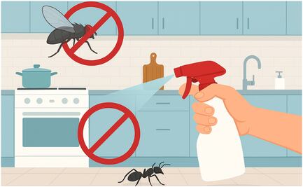 ¿Cómo prevenir hormigas, moscas y otros insectos en tu cocina? Sigue estos consejos