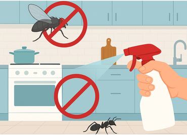 ¿Cómo prevenir hormigas, moscas y otros insectos en tu cocina? Sigue estos consejos