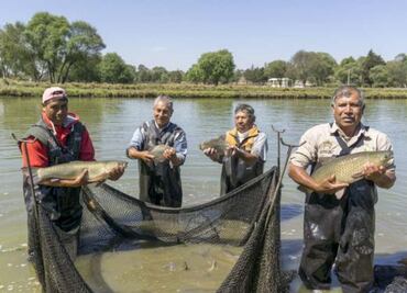 Sader apoya con más de mil 200 mdp a pescadores en tiempo de veda; este 12 de febrero inicia el pago de Bienpesca