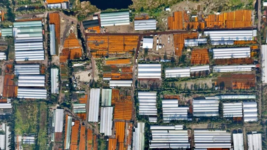 Foto: Secretaría del Medio Ambiente