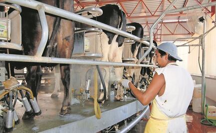 Canilec prevé menor consumo de leche en 2022