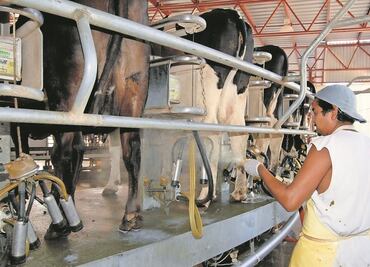 Canilec prevé menor consumo de leche en 2022