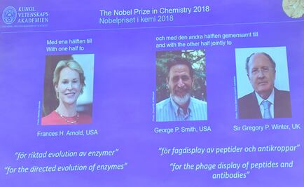 Ganan tres científicos Premio Nobel de Química por desarrollo de proteínas
