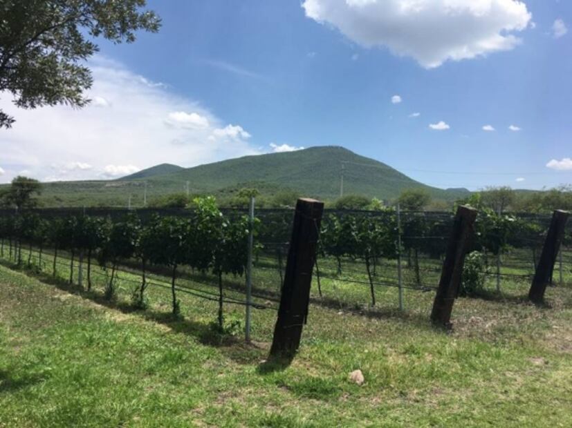 Disfruta de una copa de vino mientras disfrutas de un atardecer, o la puesta de un arcoiris