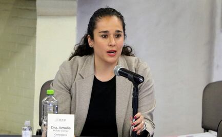 El reconocimiento a la titular del IEEM