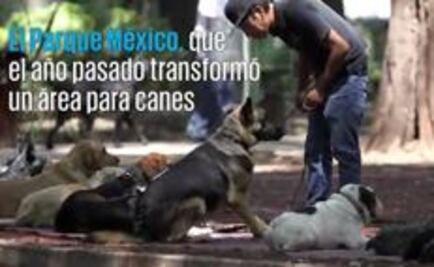 Video. Vámonos de pata de perro